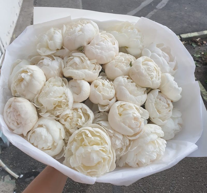 Buchet Bujori Albi