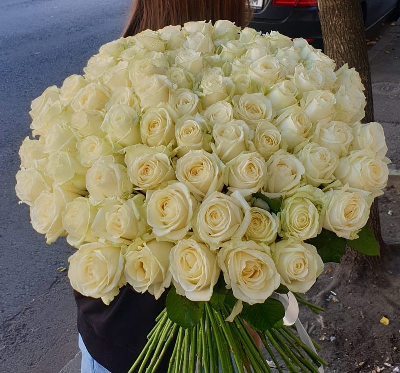 Buchet Trandafiri Albi